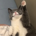 Xad小啊迪